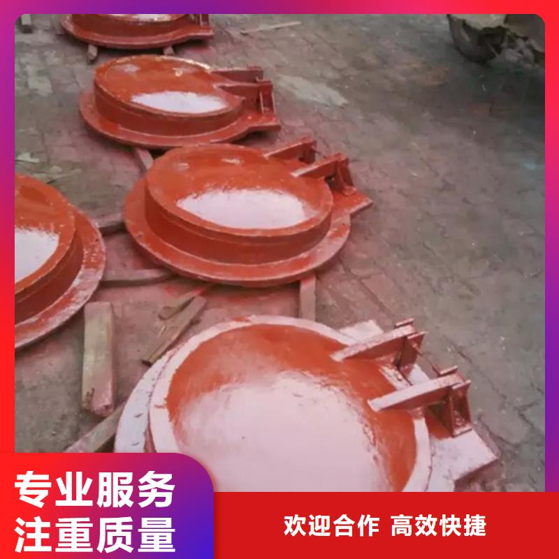 <乳山> 拍门水利工程拍门源头直供