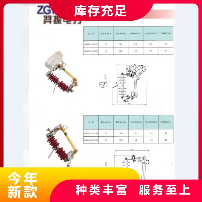 熔断器-绝缘子常年供应