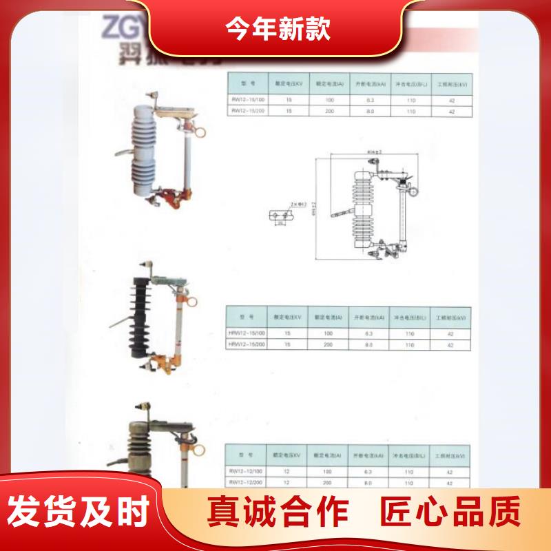 熔断器金属氧化物避雷器一站式服务