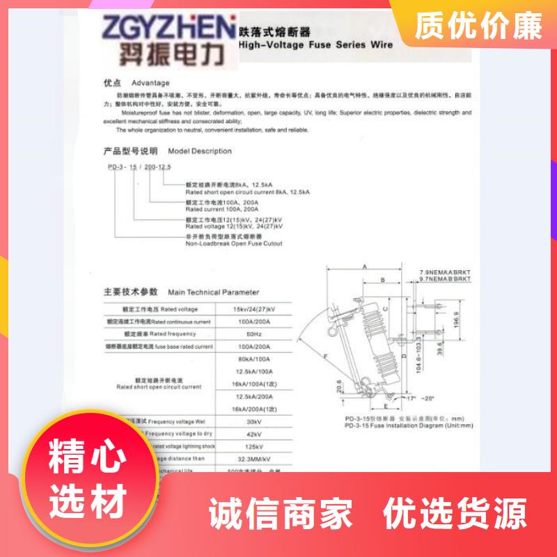 【熔断器,隔离开关厂家实力厂商】