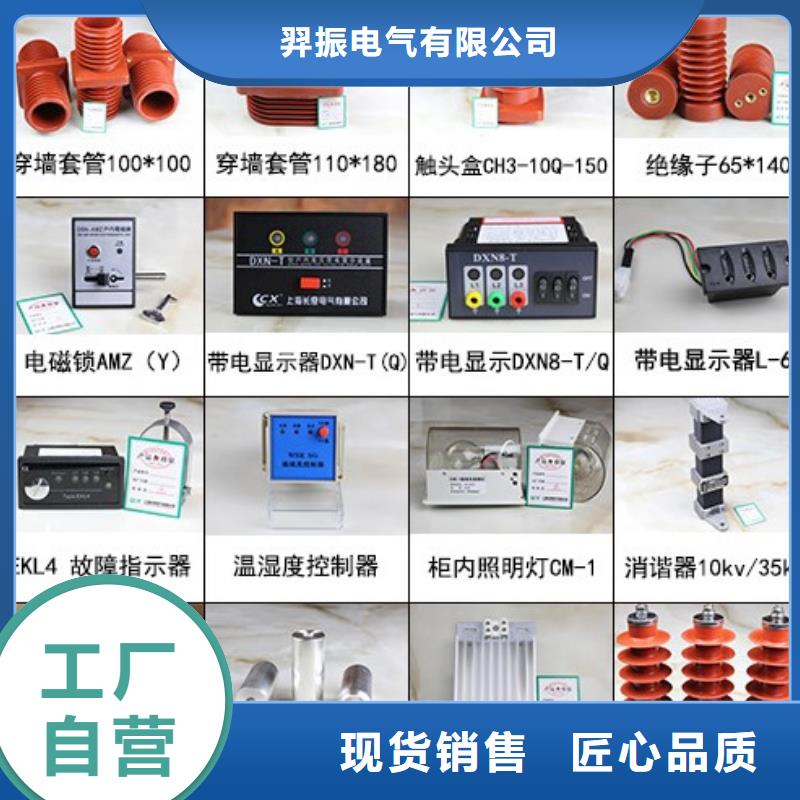 高压隔离开关【绝缘子】用心提升细节