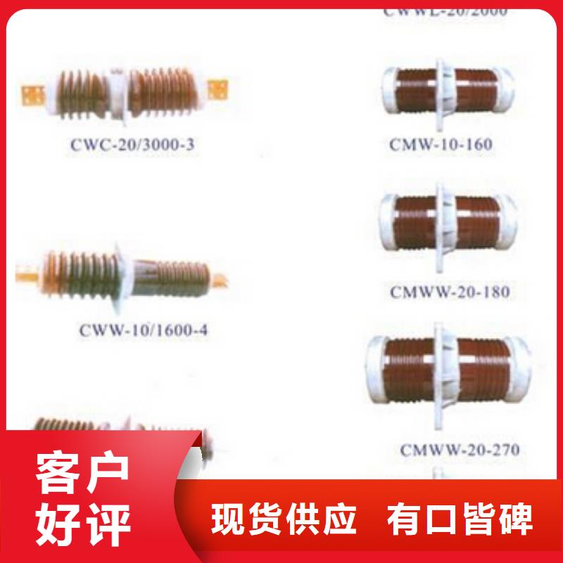 【高压隔离开关绝缘子厂家设备齐全支持定制】