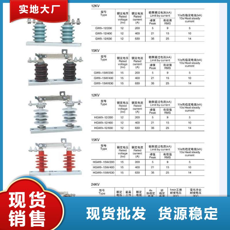 【高压隔离开关智能断路器准时交付】