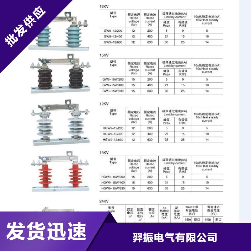 【高压隔离开关智能断路器质优价廉】