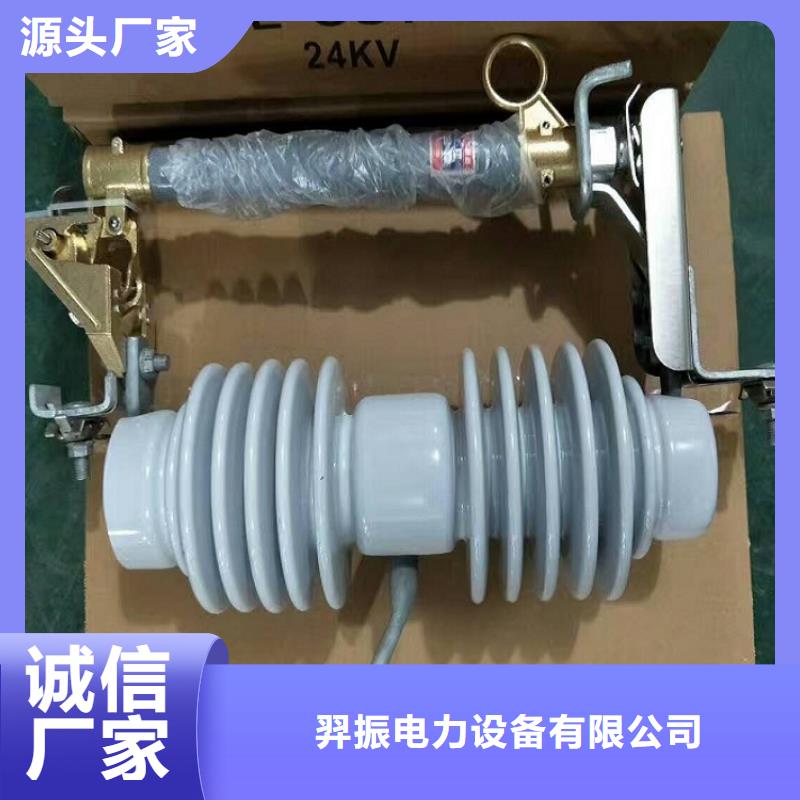 【熔断器金属氧化物避雷器品质无所畏惧】