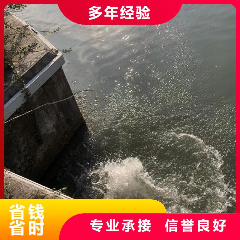 水下 水下气囊封堵比同行便宜