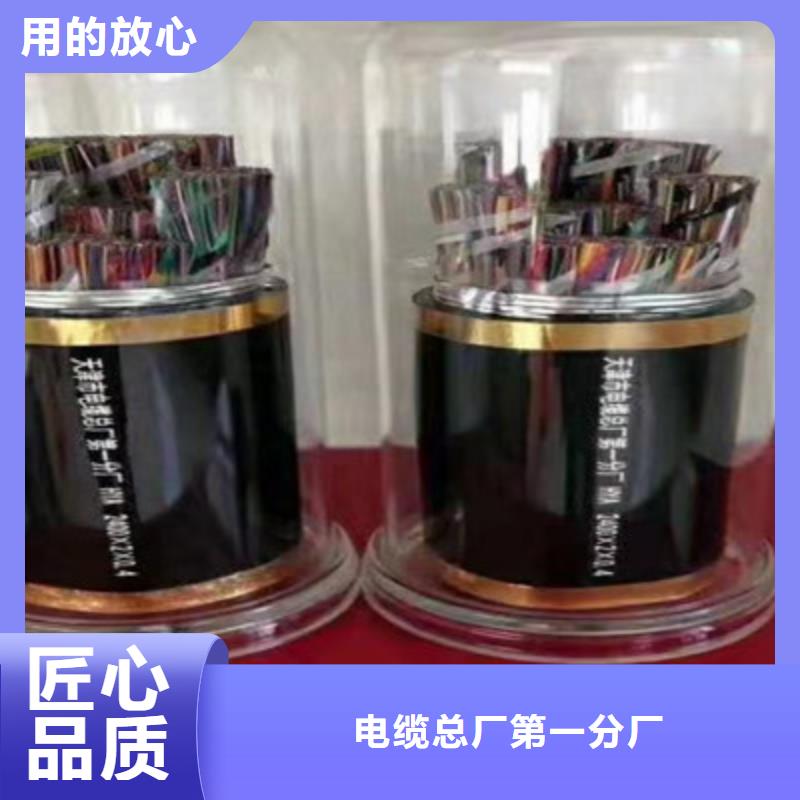 【通信电缆】信号电缆老品牌厂家