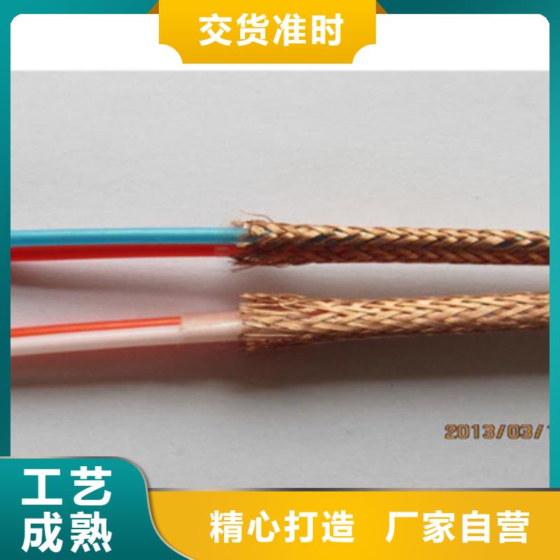 双阳 本地 计算机耐高温电缆DJFPV30X2X1.5