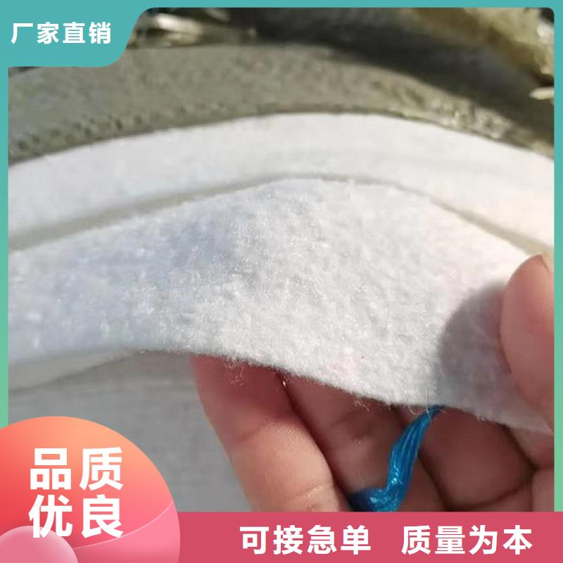 土工布_防渗土工膜按需定做