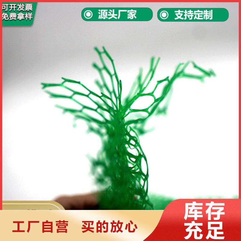 三维植被网【【防水膜】】品质卓越