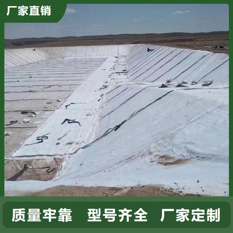 膨润土防水毯_土工格栅厂家型号齐全