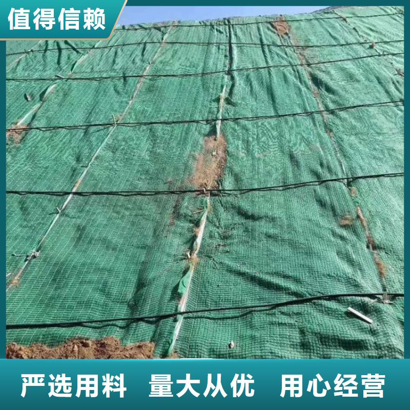 【椰丝毯】植草格详细参数