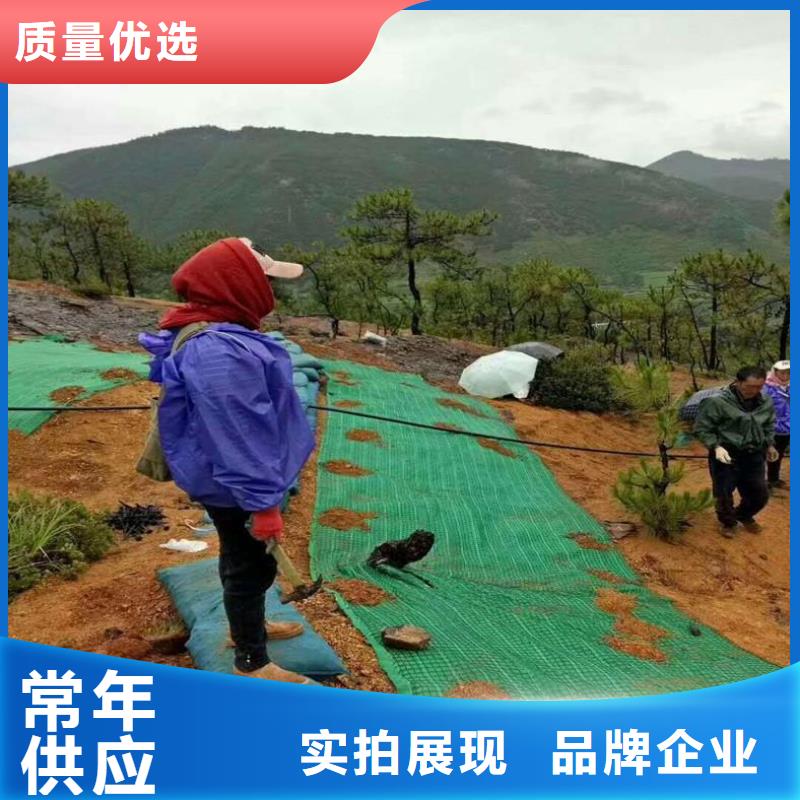 椰丝毯短纤无纺土工布每个细节都严格把关