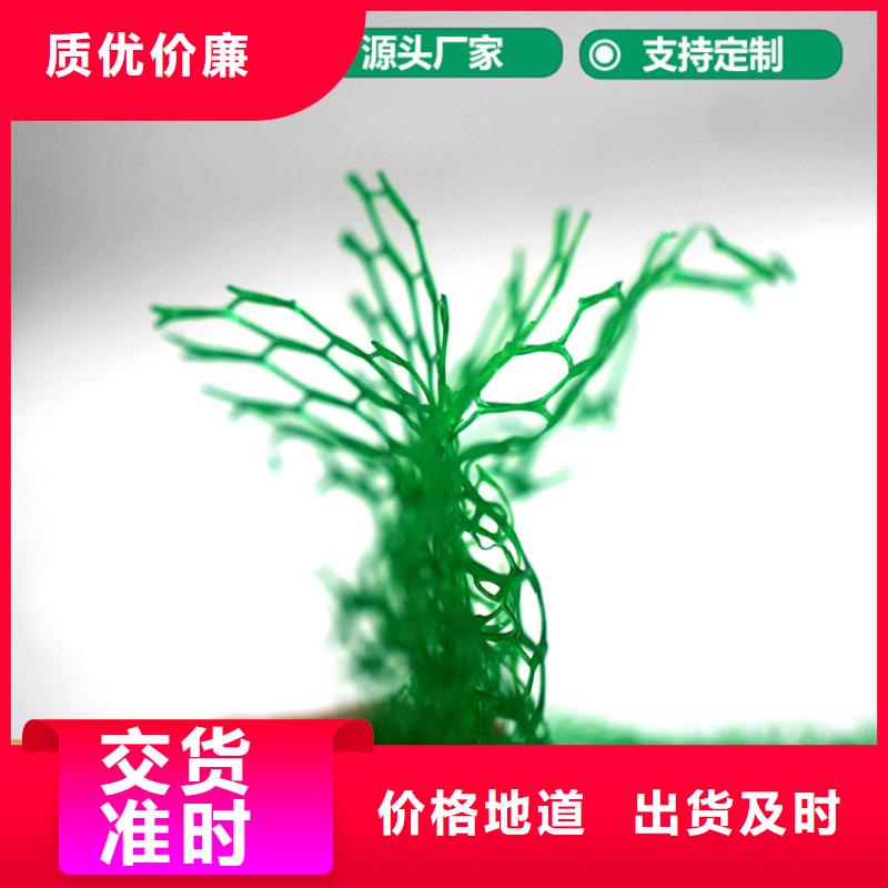 【三维植被网】,【钢塑土工格栅】现货