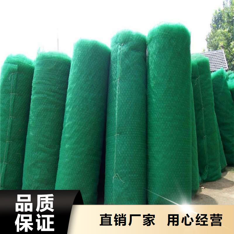 三维植被网【土工网垫】实体厂家大量现货