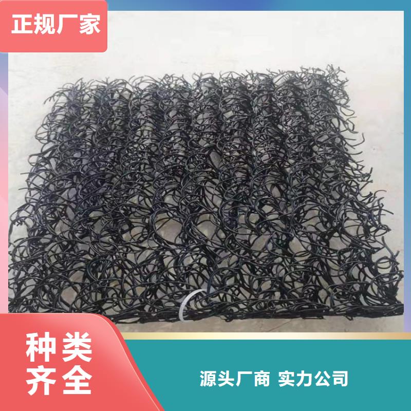 土工席垫钢塑土工格栅用心做产品