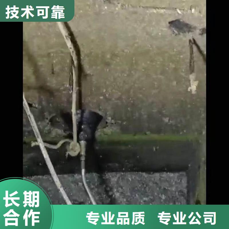 水中打桩种植基地浪淘沙水工