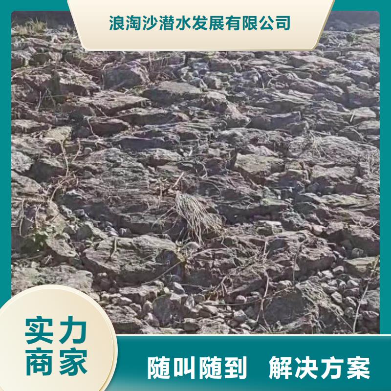 污水厂换曝气器终身质保浪淘沙水工