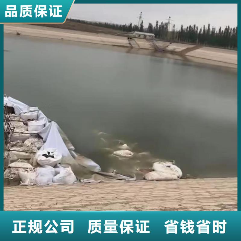 水下砌墙堵头现货供应同城蛙人打捞