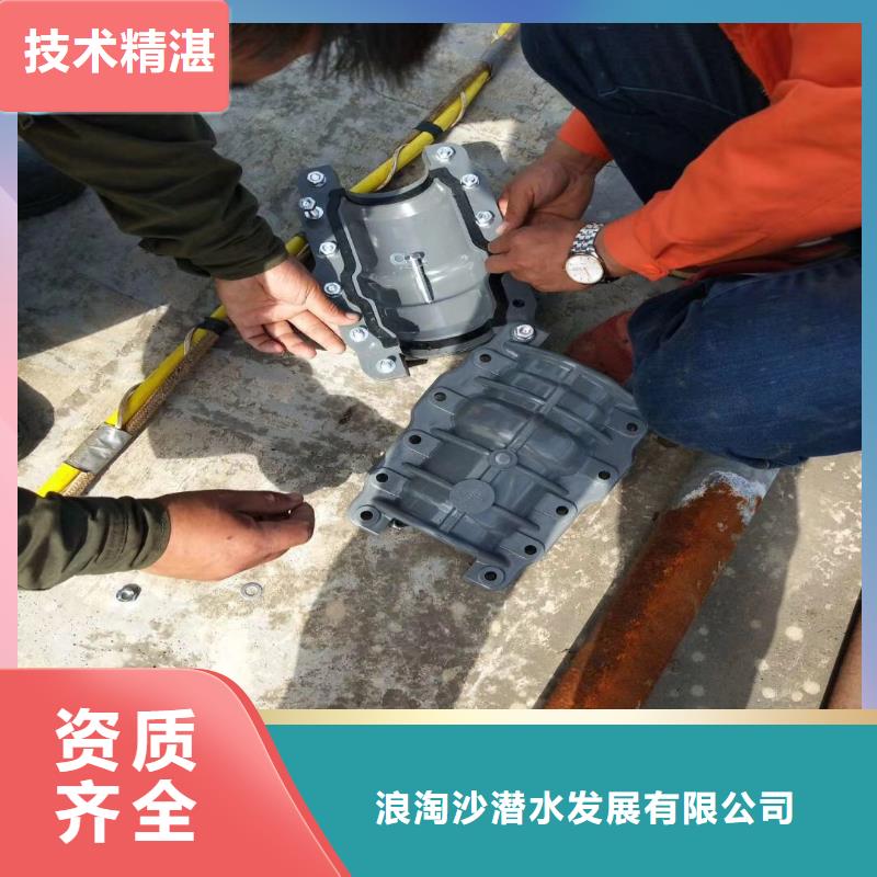 污水厂换曝气器终身质保浪淘沙水工