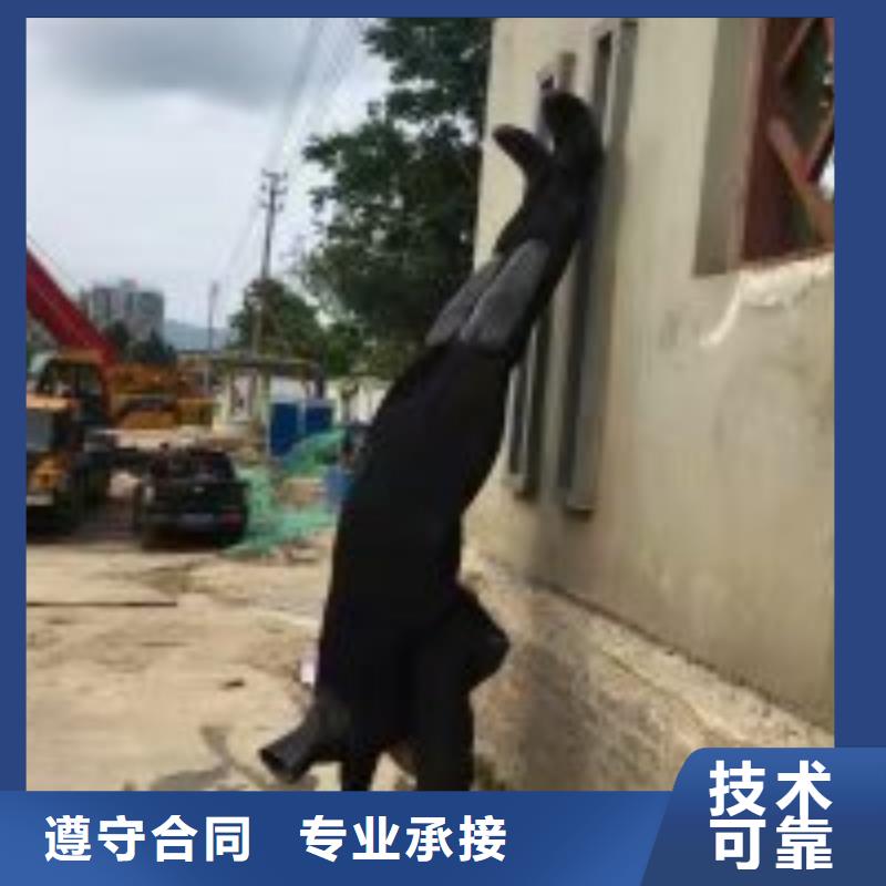 蛙人雨水管道抢修堵漏就近仓库发车