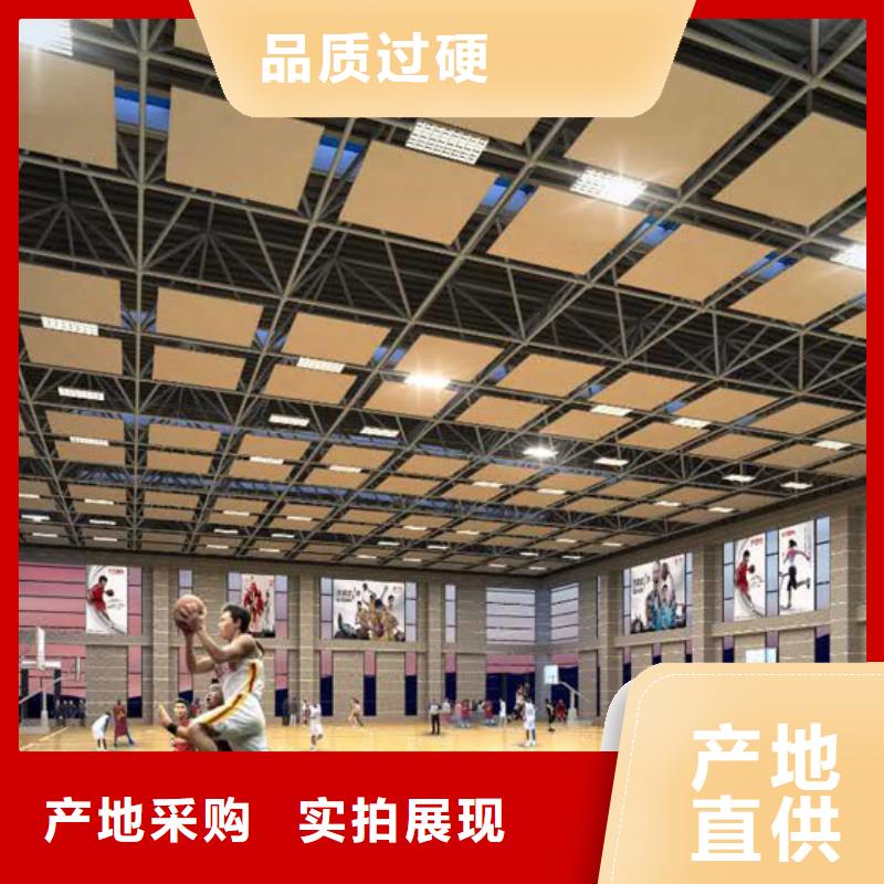 西藏省工厂直营(凯音)县多功能体育馆吸音改造公司--2024最近方案/价格
