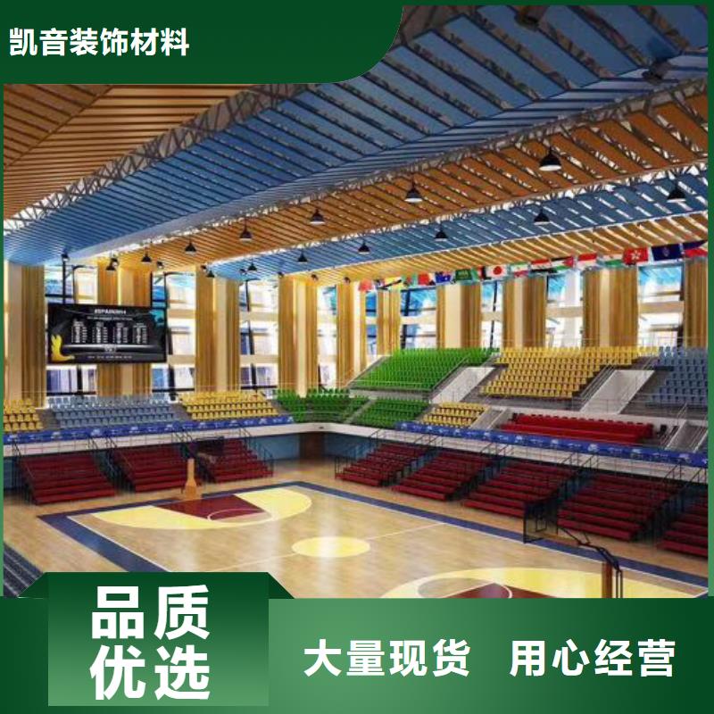 广州市番禺区多功能体育馆声学改造公司--2024最近方案/价格
