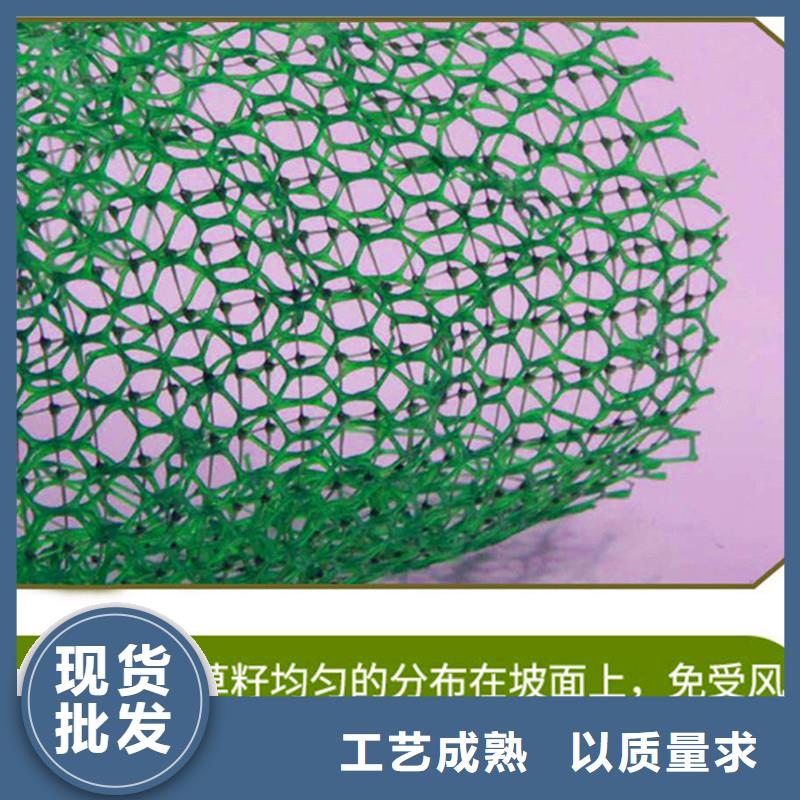 三维植被网【聚丙烯纤维生产厂家】懂您所需