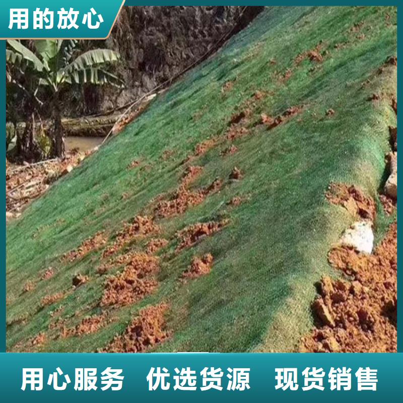 三维植被网紫铜止水片厂家价格合理