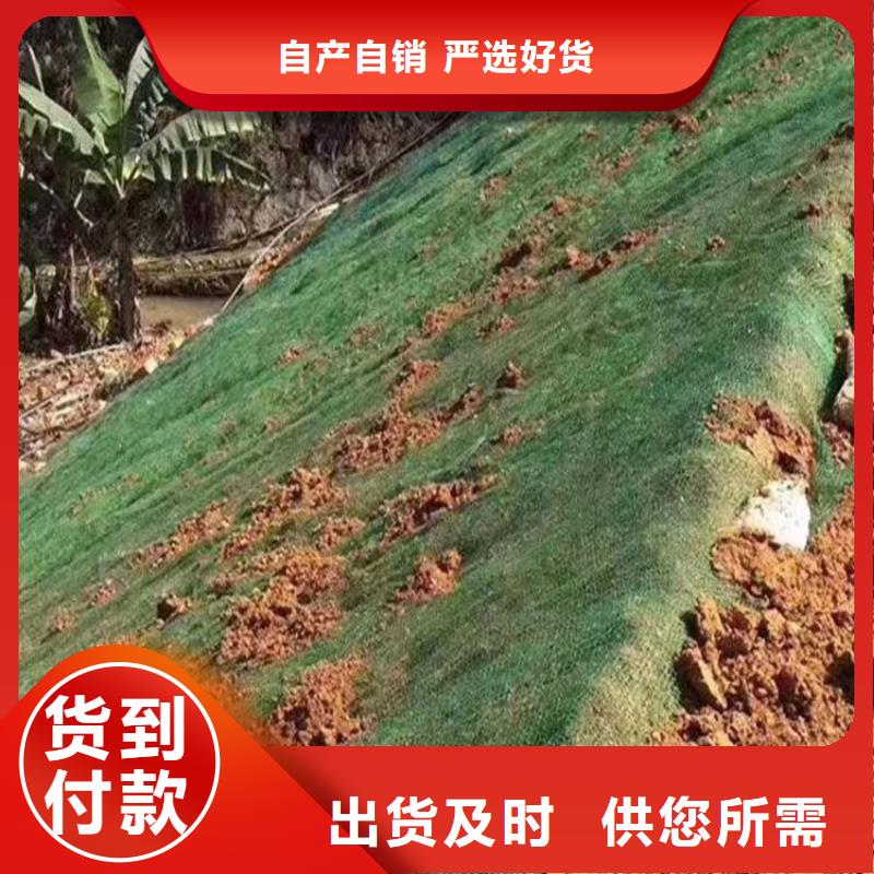 三维植被网止水铜片本地配送