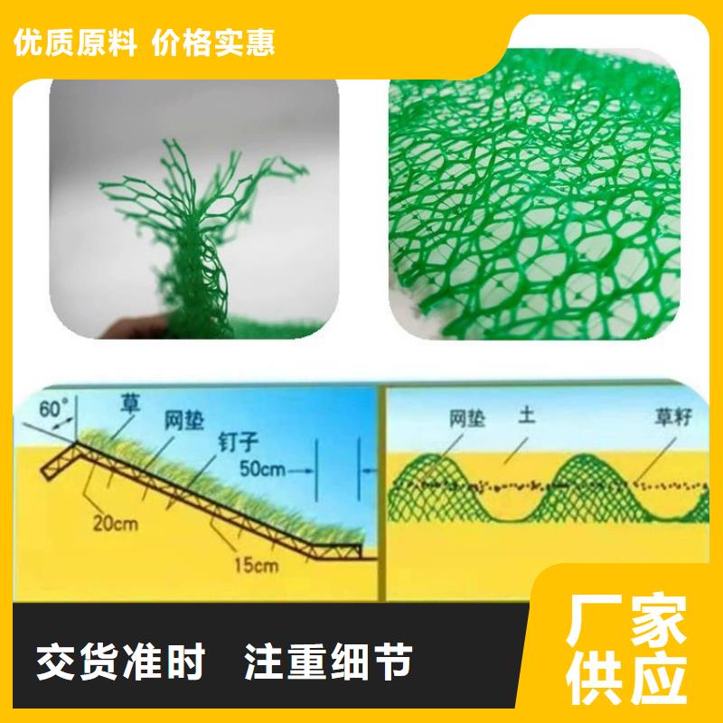 【三维植被网】止水铜片工厂直营