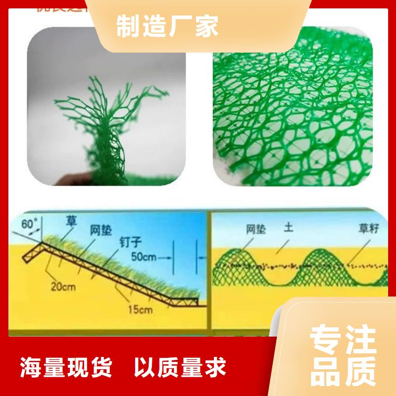 三维植被网土工格栅正品保障