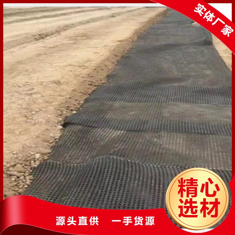 昌都(本地)土工格栅择优推荐厂家价格
