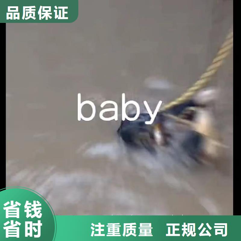 【水下安装潜水打捞团队方便快捷】