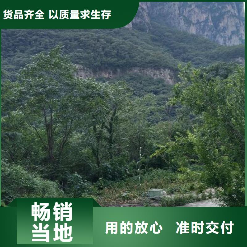 小型混凝土泵 小型混凝土输送泵价格地道