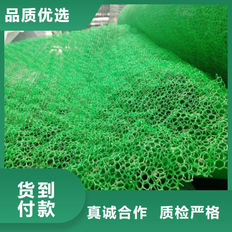 三维植被网-塑料格栅供应采购