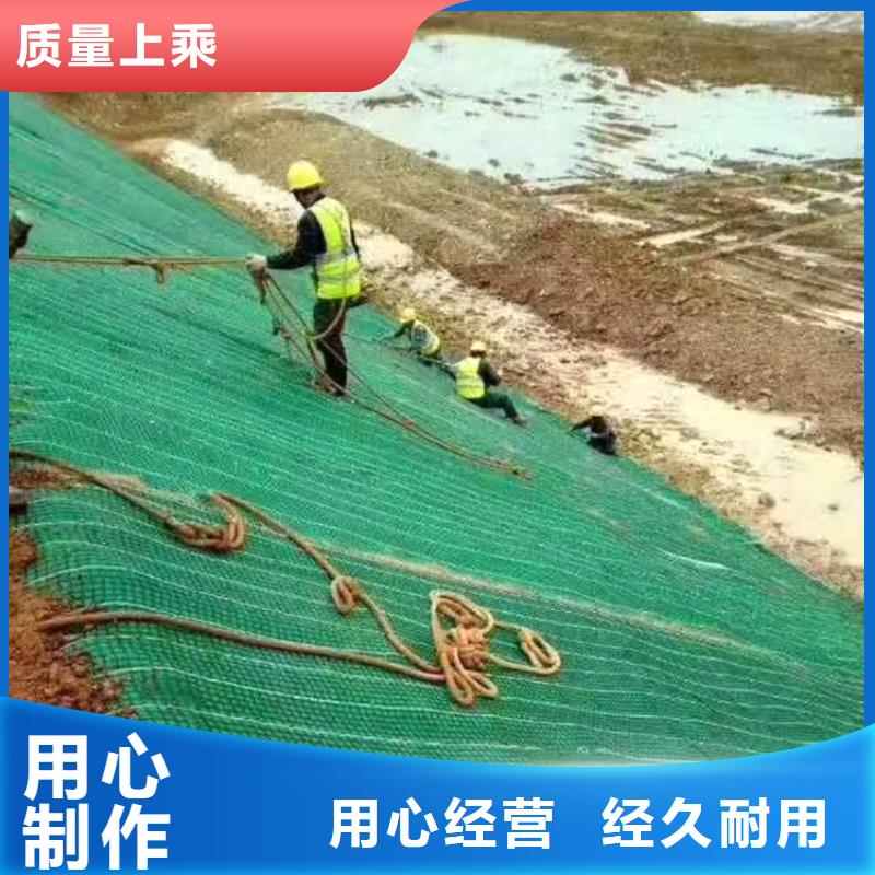 椰丝毯【玻纤土工格栅】生产经验丰富