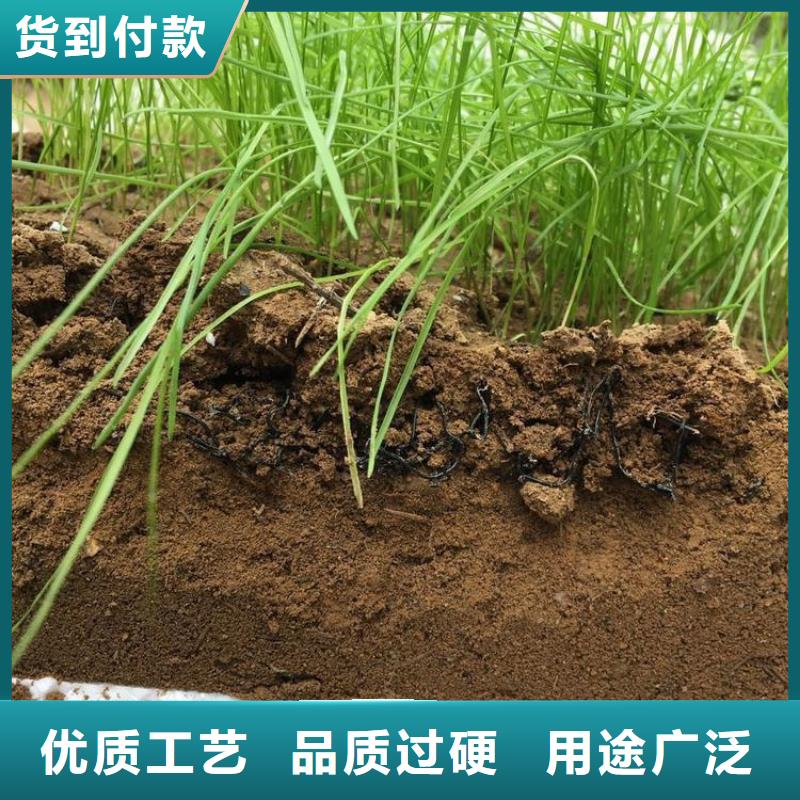 水土保护毯【土工格室】精选优质材料