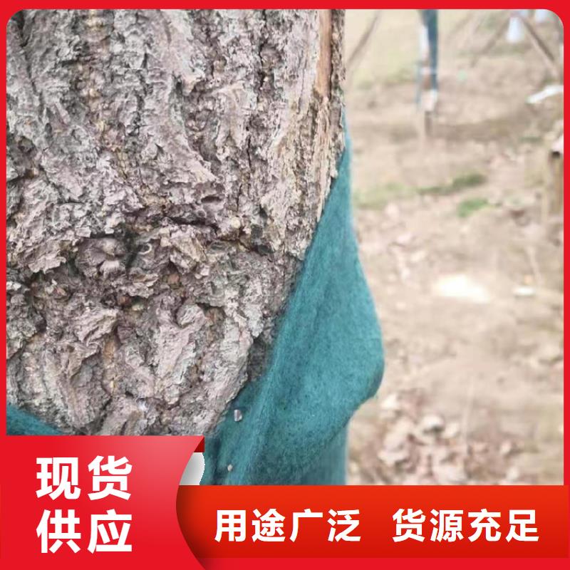 裹树布HDPE土工膜现货齐全售后无忧