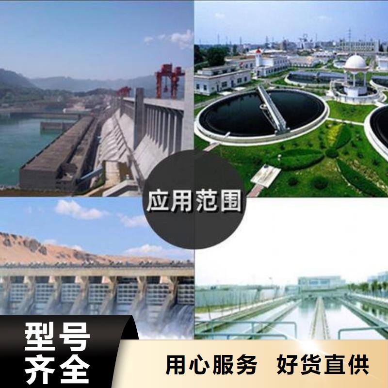 截流井闸门-雨污分流液动限流闸门N年专注