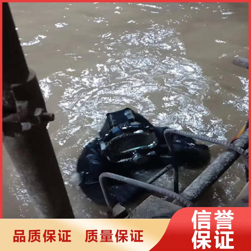 重庆市铜梁区


水下打捞溺水者
本地服务