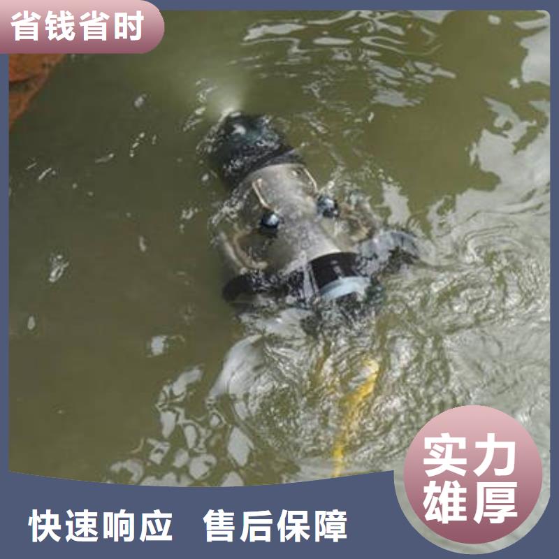 重庆市沙坪坝区潜水打捞溺水者产品介绍