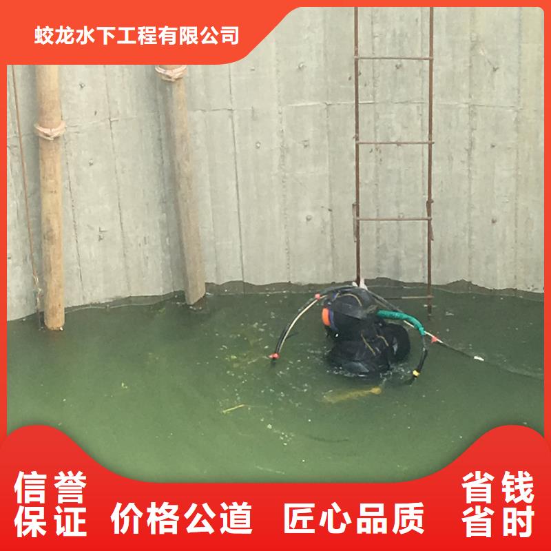 可定制的蛙人服务公司供应商