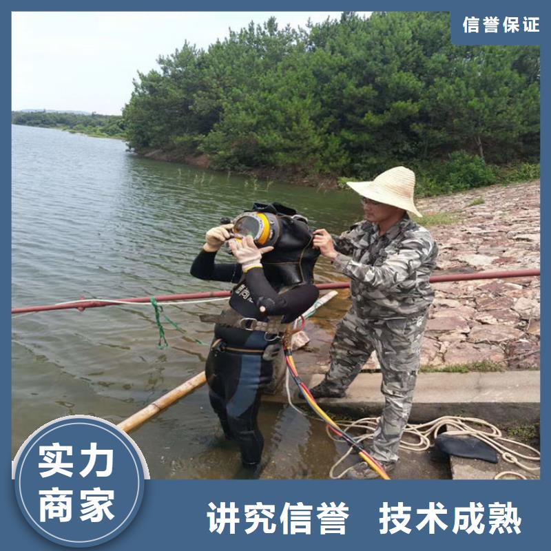 可定制的蛙人服务公司供应商