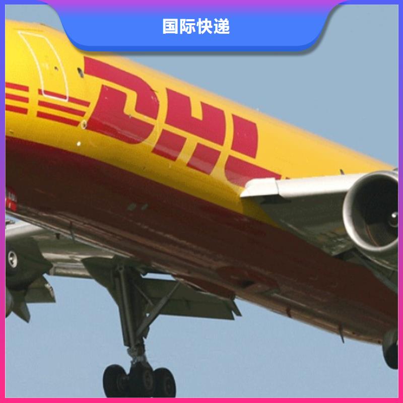 齐齐哈尔【DHL快递】,【国际快递】自有运输车队