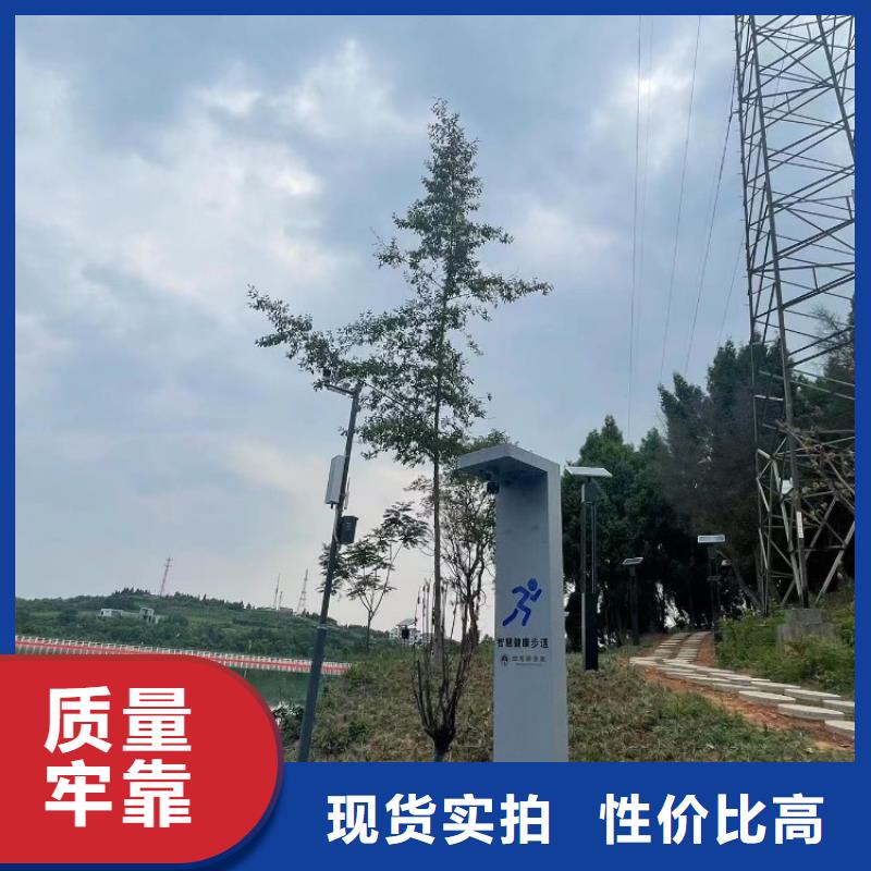 智慧【光影陪跑墙】价格公道合理