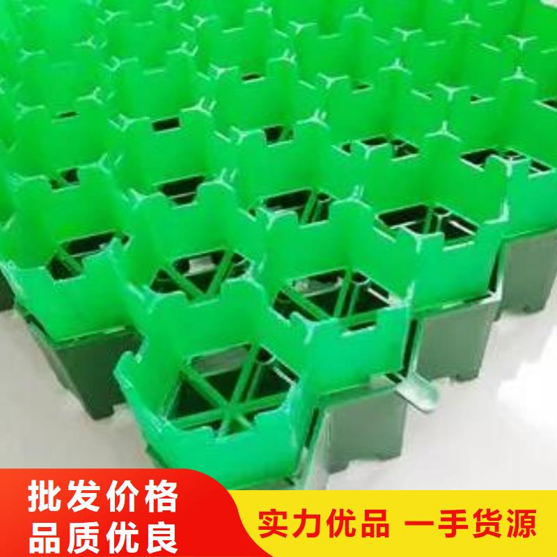 植草格排水板厂家型号齐全