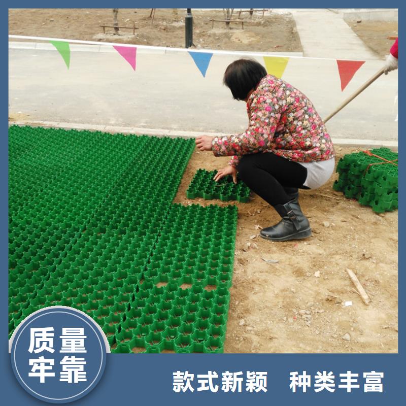 植草格,排水板选择大厂家省事省心