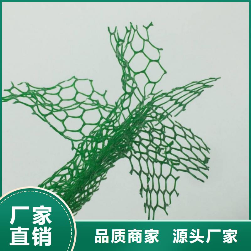 三维植被网_防护虹吸排水收集系统源厂直销