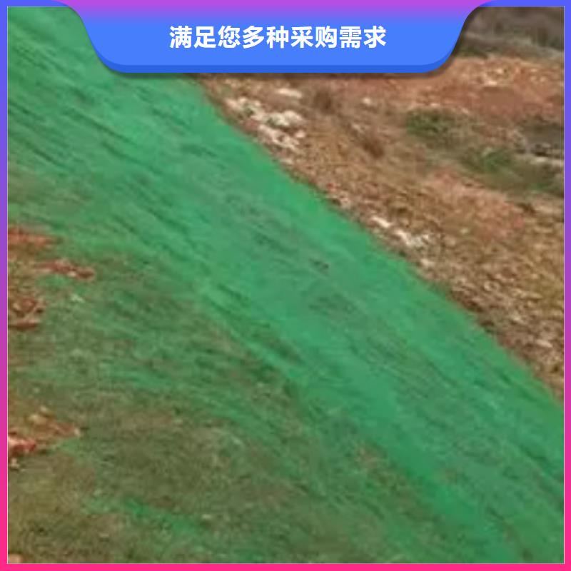 三维植被网,水泥化粪池自产自销